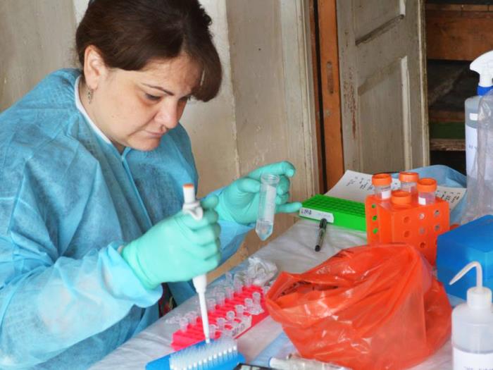 Staff member preparing laboratory samples
