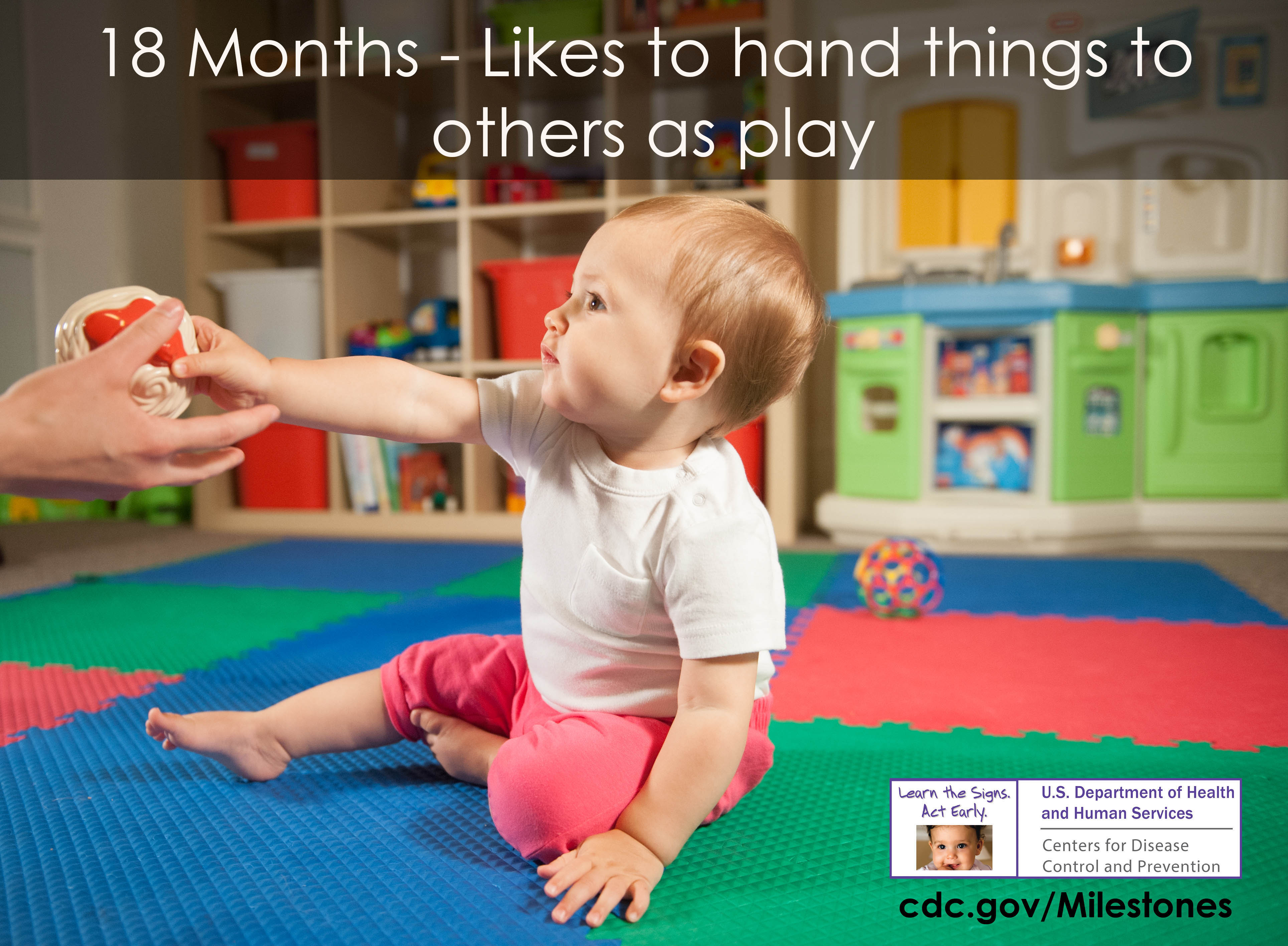 Infant Development Chart First 18 Months