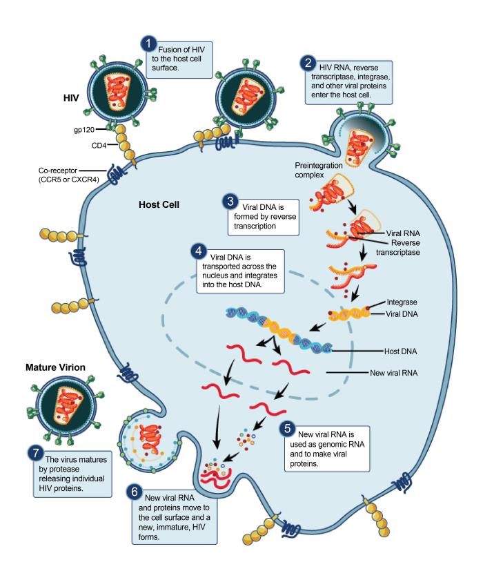 Details - Public Health Image Library(PHIL)