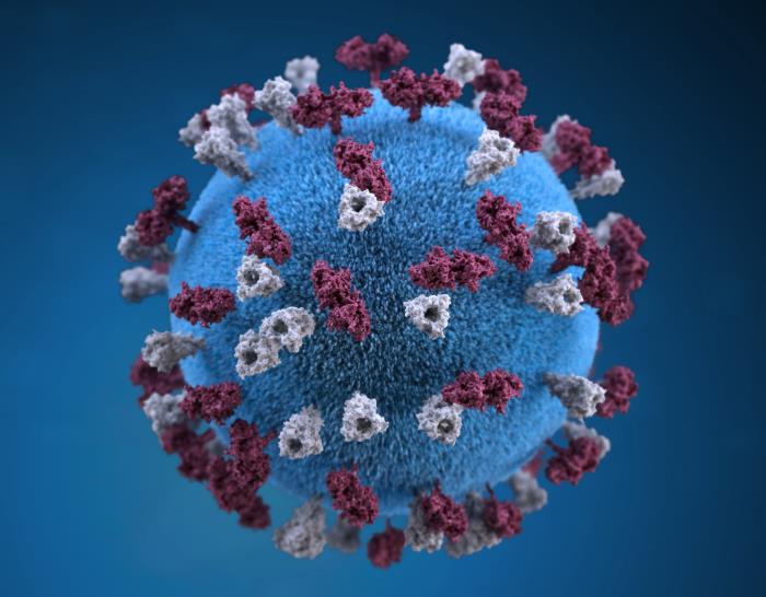 3D rendering of measles virus particle