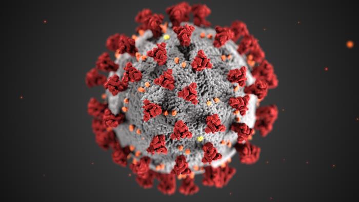 Spikes in a corona formation on the outside of the virus