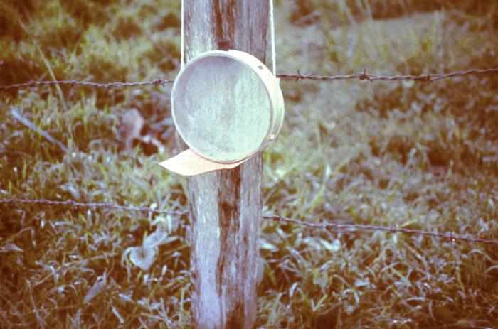 DRH - Green Nautical Glass Japanese Fishing Float - Glass Float - Bright  Nautical Decor with Brown Roped Net - Hanging Decoration Nautical Glass  Buoy Gift for Art Lovers (12) 